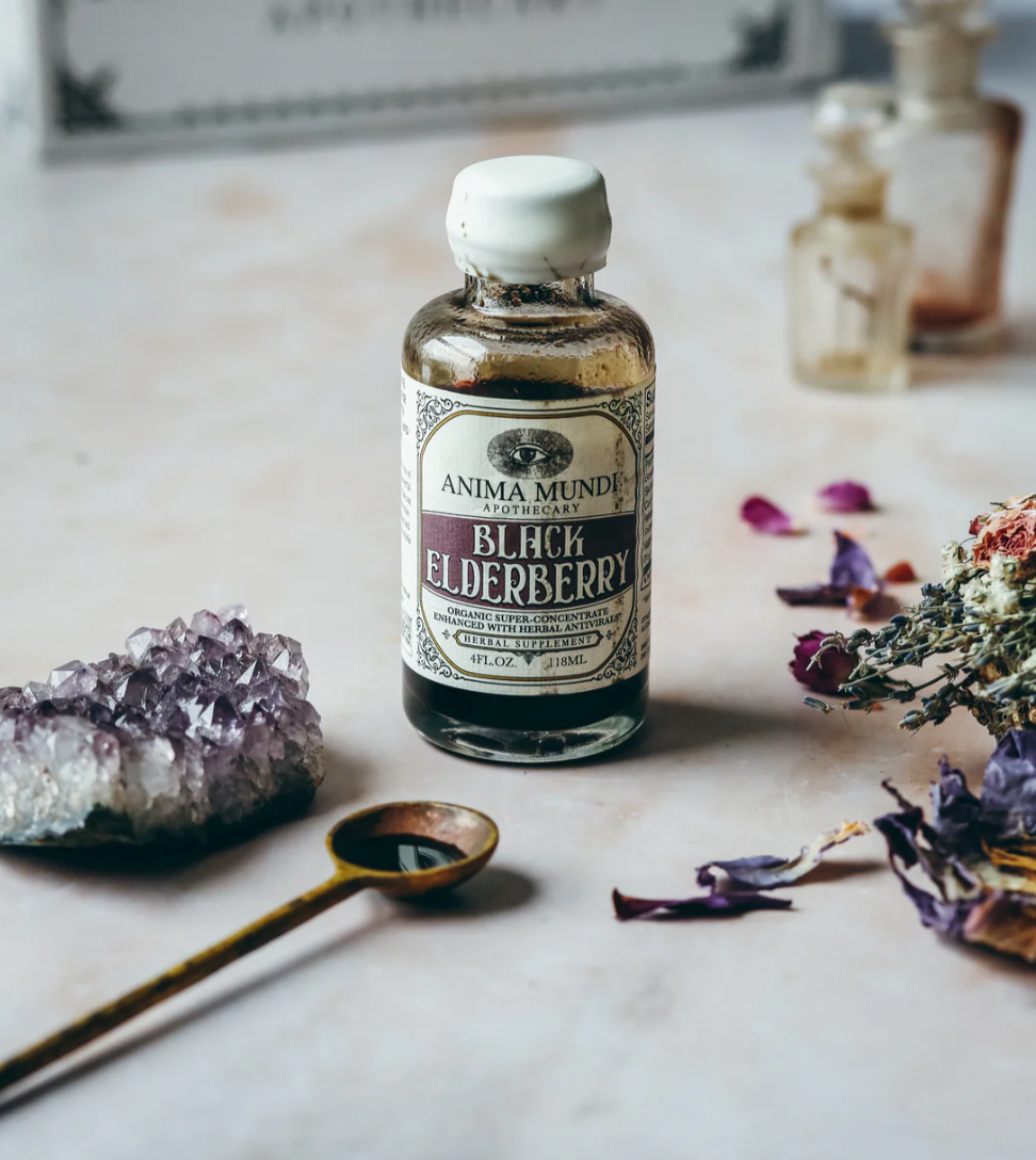 BLACK ELDERBERRY Elixir | Immune Support - 4 oz