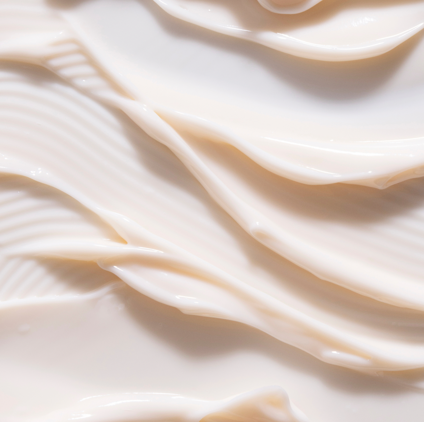Dream Bio-Retinol + Shorea Butter Night Cream