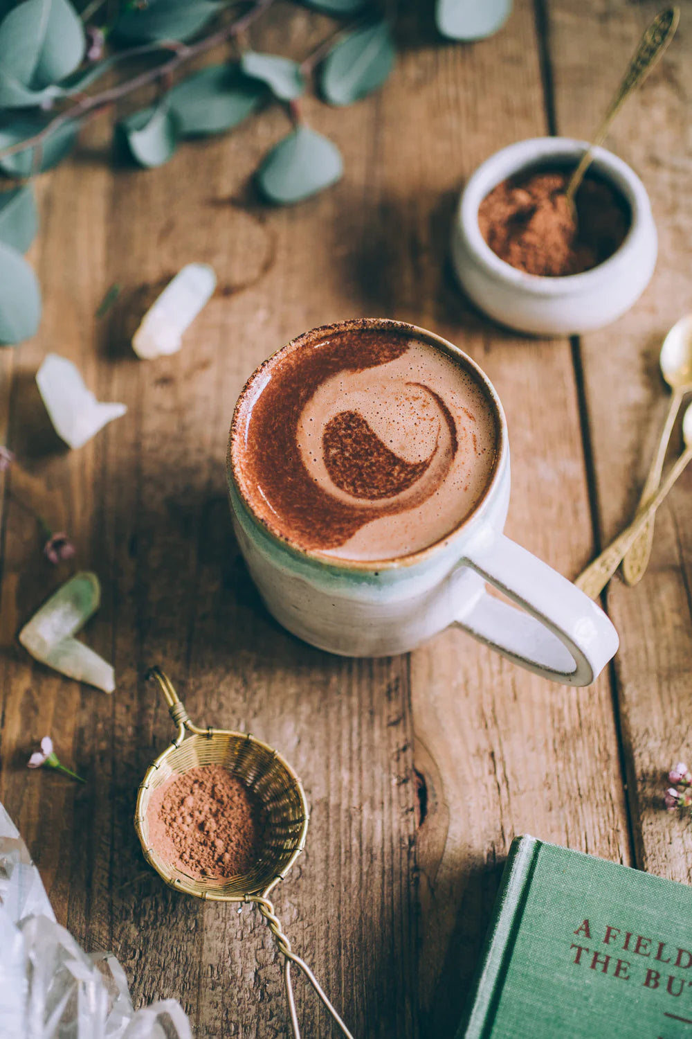 Mushroom Mocha Milk